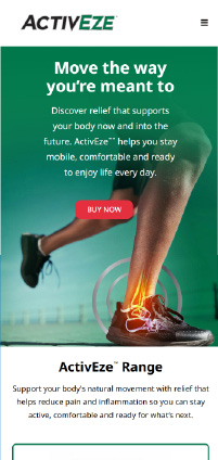 ActiveEze phone website view