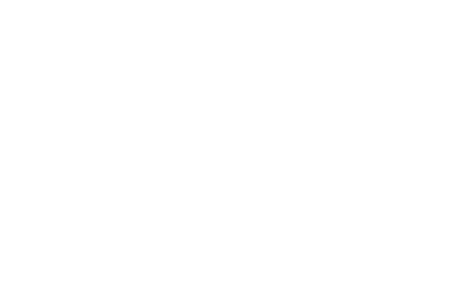 VEGA ASSET MANAGEMENT